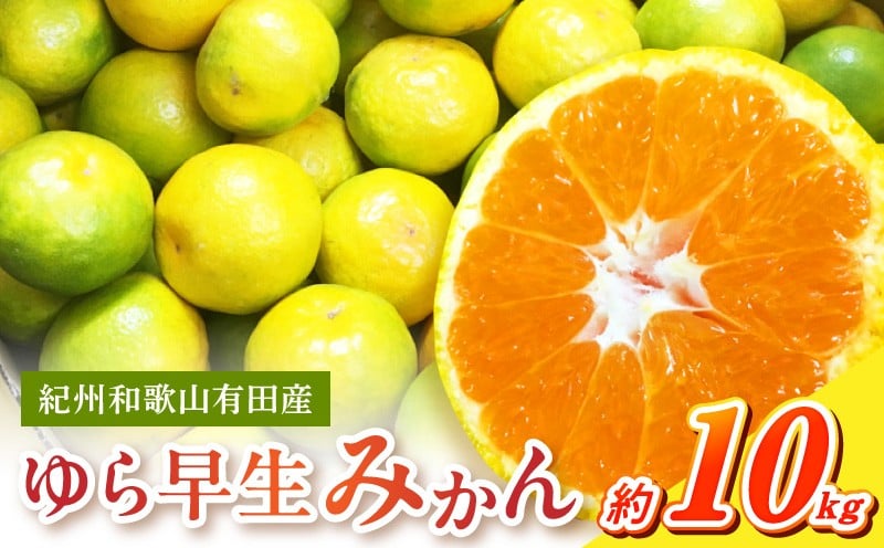 
                  G7098_ 【2026年 先行予約】紀州和歌山有田産 ゆら早生みかん 10kg【ミカン 蜜柑 柑橘 温州みかん わせみかん】
                