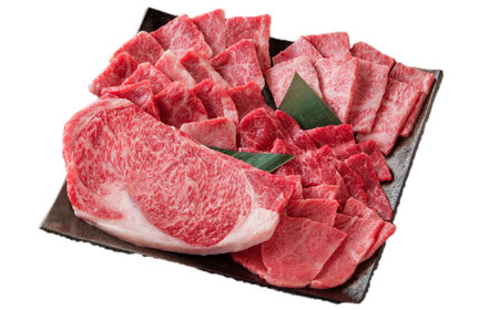 佐賀県産牛 焼肉セット550g（5種） / 佐賀県 / 一般社団法人 龍乃[41ANAC091]