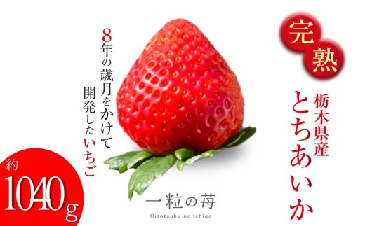 【先行予約】完熟いちご とちあいか 栃木県真岡市産 1040g | 2027 年 先行予約 いちご 苺 strawberry ストロベリー おいしい 甘い ジューシー 贈答用 プレゼント ご褒美 スイーツ おやつ 高評価 人気 レビュー 栃木県 真岡市 日本一 送料無料