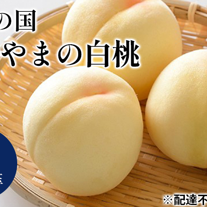 桃 2024年 先行予約 晴れの国 おかやま の 白桃 2kg 5～7玉 もも モモ 岡山県産 国産 フルーツ 果物 ギフト