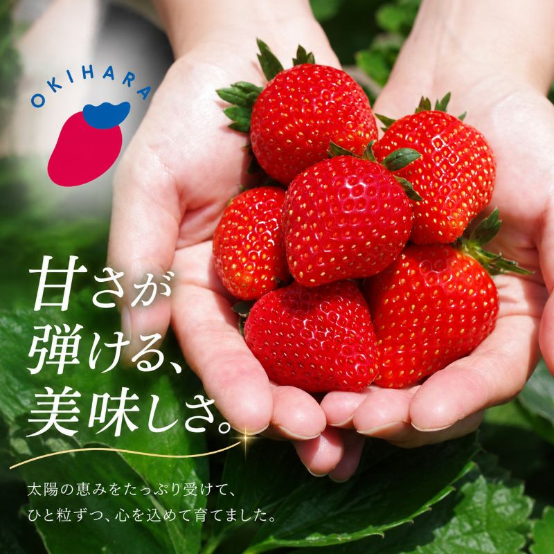 【先行予約】[数量限定] 貴重な12月発送！贅沢な栃木のいちご3種食べ比べセット 960g | とちあいか とちおとめ スカイベリー 食べ比べ3品種 960g｜20000円