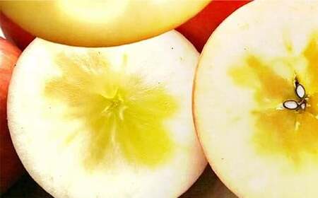 有機農薬使用・完全無肥料栽培「サンふじ」葉とらずりんご約3kg（8～12玉） F7X-0467