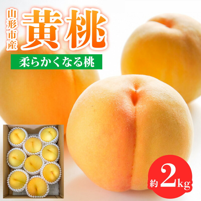 【ふるさと納税】山形市産 黄桃 秀品 2kg(4～8玉) 柔らかくなる桃 【令和7年産先行予約】FS24-758