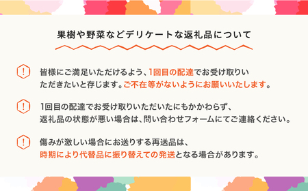 白桃 秀品＆和梨 品種おまかせ 詰め合わせ 約3kg 令和7年産 2025年産 果物 送料無料 ns-fshnx3 ※沖縄・離島への配送不可