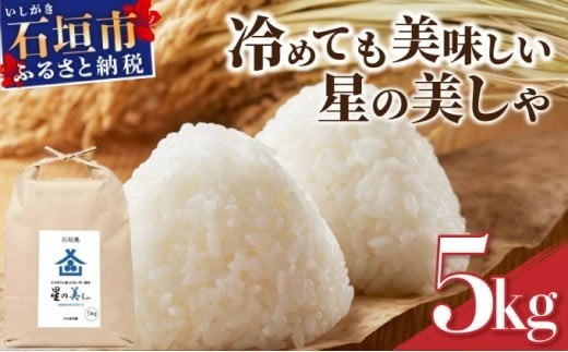 
                  石垣島産 星の美(かい)しゃ 5kg みやぎ米屋【 日本一早い新米の産地 石垣 米 お米 産地直送 旬 ほしじるし 沖縄県 石垣市 】MK-3 
                