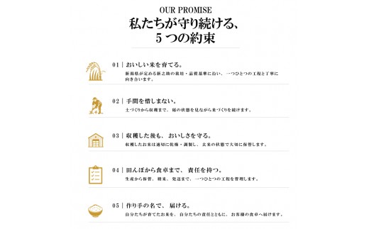 令和8年 新米 新潟県上越市産 穂希 新之助 5kg 精米 株式会社MSD
