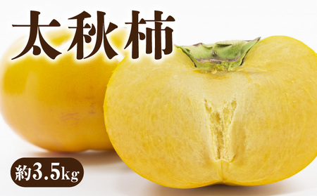 【ふるさと納税】【先行予約】【配送不可地域：北海道・沖縄県・離島】新食感甘柿 「太秋柿（たいしゅうがき）」 約3.5kg  国産 柿 カキ かき kaki 直送 新鮮 旬 オーガニック 健康効果 保存方法 美容効果 栄養価 送料無料 フルーツ 果物 詰め合わせ 詰合せ