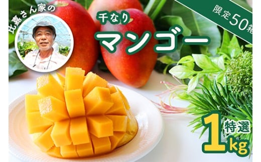 【限定50箱】比嘉さん家の千なりマンゴー(特選・1㎏)【2026年6月下旬～7月頃に発送】