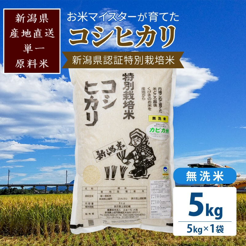 
            米 お米マイスターが育てた特別栽培米 精米コシヒカリ 上越産 令和5年産 5kg(5kg×1袋)無洗米 こしひかり
          