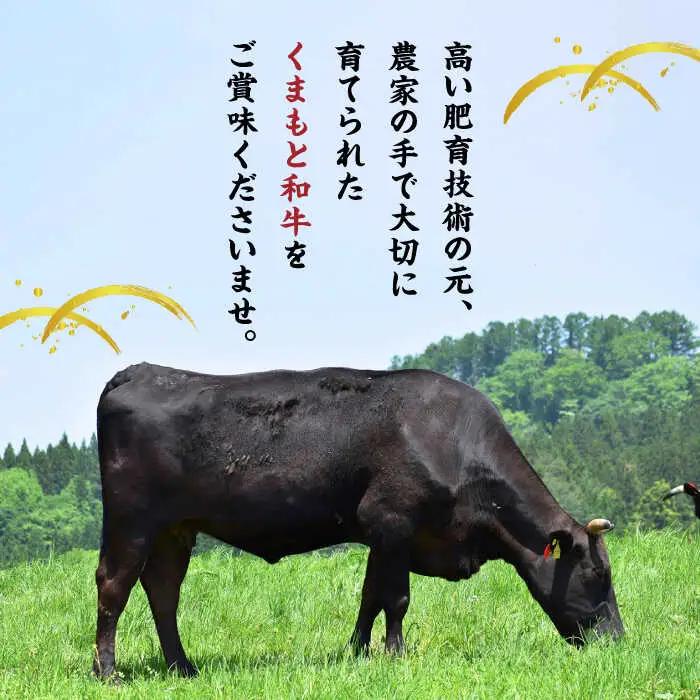 【12回定期便】くまもと黒毛和牛 ヒレステーキ 計750g（5枚）【馬刺しの郷 民守】 熊本 和牛 ステーキ ヒレ  [ZBL111]