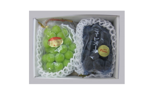 ＜満足セット＞人気の2品種　シャインマスカット+ピオーネ食べ比べセット　約2kg(各1～3房)【1705902】
