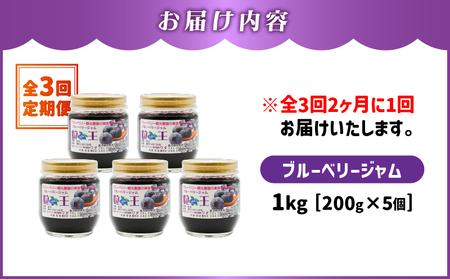 2468-1  【 全3回 定期便 】（ 2ヶ月に1回お届け ）粒王 ブルーベリー ジャム 200g × 5個 KN030-T0 果物 フルーツ ブルーベリージャム 無添加 常温 ブルーベリー観光農園