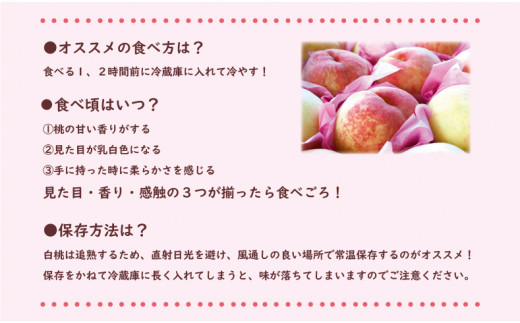 【2025年発送分 先行受付スタート！】岡山県産 白桃 最高ランク！ロイヤル約4kg 8～15玉（令和７年7月以降発送）