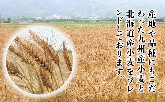 島原手延そうめん 山道そうめん 国産小麦 100 / 50g×5束×2袋 / そうめん 素麺 麺 乾麺 / 南島原市 / そうめんの山道 [SDC003]