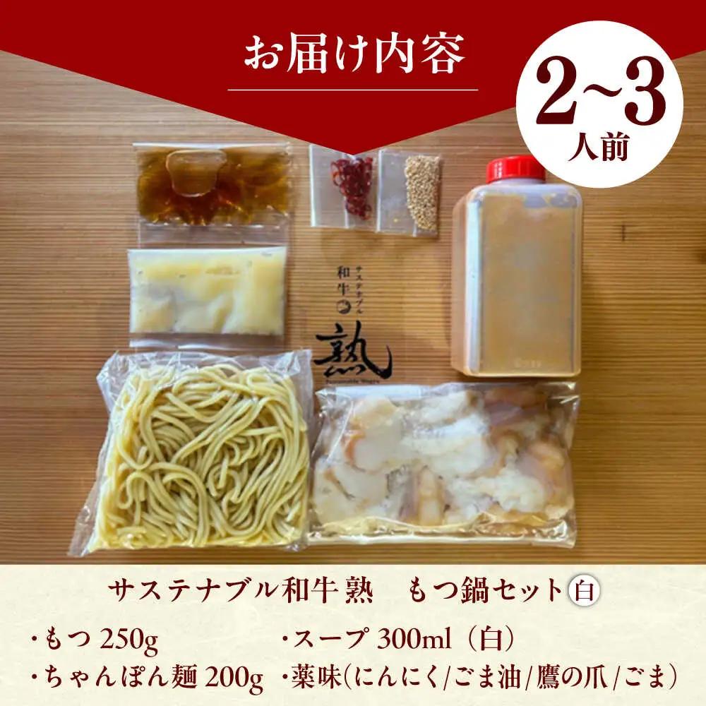 白のもつ鍋セット みそ味 2-3人前  [AIAT007] もつ鍋