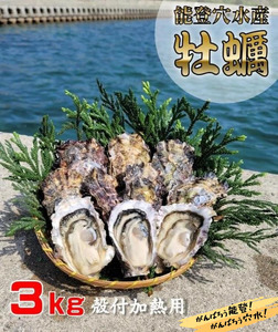 鮮度抜群！獲れたてをお届け！ 能登穴水の牡蠣（殻付き）加熱用3kg