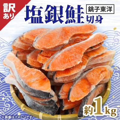ふるさと納税 銚子市 【訳あり】塩銀鮭　切身(冷凍)1切れ80g　計約1kg　銚子東洋の規格外