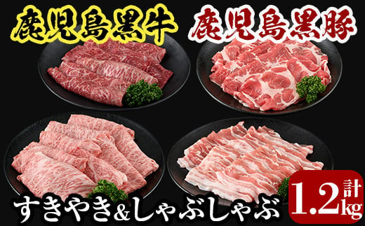 
C0-108 鹿児島黒牛すきやき・黒豚しゃぶしゃぶセット(計1.2kg)＜A-1501＞【JA】牛肉 豚肉 しゃぶしゃぶ牛肉 しゃぶしゃぶ用牛肉 しゃぶしゃぶ 黒豚 しゃぶしゃぶ肉 しゃぶしゃぶ 豚 しゃぶしゃぶセット すき焼き すき焼き肉 すき焼き用牛肉 霧島市 国産
