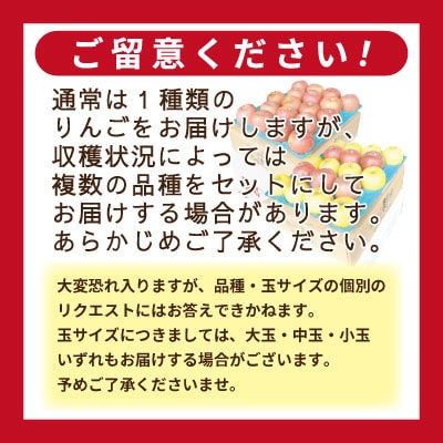 【26年1月出荷予定】りんご 品種おまかせ 約3kg 訳あり【配送不可地域：沖縄県】【1613249】
