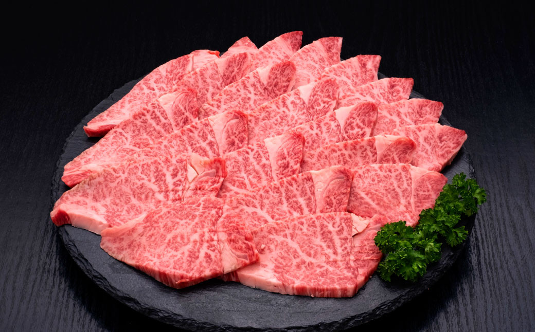 
【訳あり】 博多和牛ヒレ焼肉 約600g×1パック 福岡県産 国産 牛肉 お肉 焼肉 BBQ
