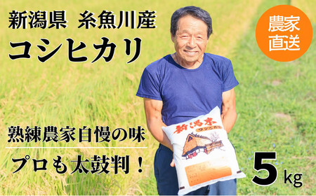 【先行予約】令和8年産 新潟県産『コシヒカリ』5kg プロも太鼓判！熟練農家のうまい米 2026年産 農家直送 吉農園【新潟県 糸魚川市 米 お米 こめ コメ ご飯 ライス ふるさと納税米 ブランド米 おすすめ ギフト 5キロ 精米 白米 人気 食品】