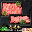 【ふるさと納税】【全6回定期便】 特選 壱岐牛 切り落とし（450g）＆すね肉（300g）《壱岐市》【太陽商事】 [JDL100] 肉 牛肉 切り落とし 切落し 薄切り すき焼き しゃぶしゃぶ カレー シチュー 煮込み 定期便 108000 108000円 冷凍配送