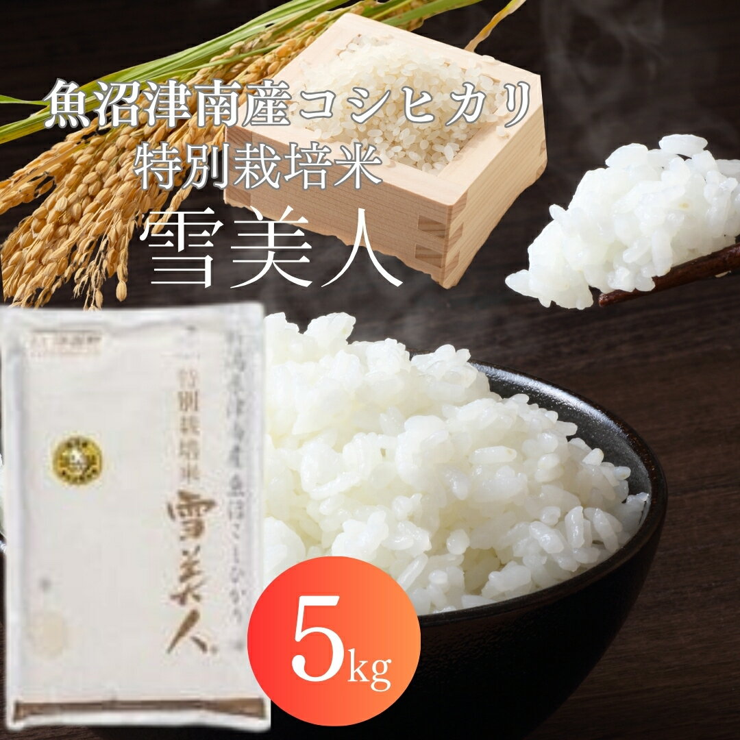 【ふるさと納税】【2025年産新米】魚沼産コシヒカリ特別栽培米 「雪美人」5kg 先行予約 新潟県 魚沼産 津南町