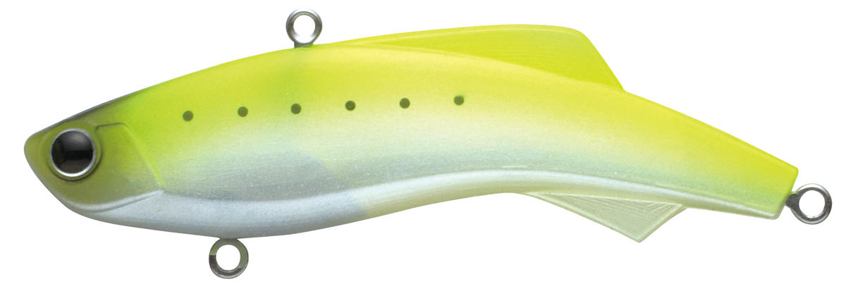 shiriten VIBE 73 #16 チャートイワシ