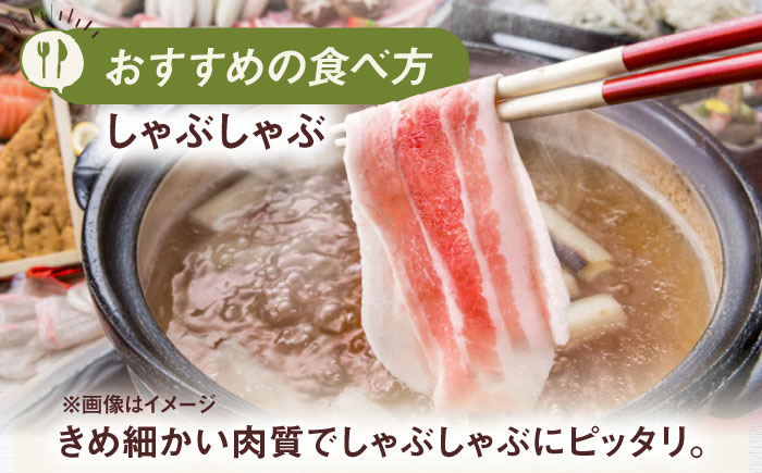 一貴山豚 ロースしゃぶ用 計1kg(250g×4p) 糸島市 / いきさん牧場 豚肉 [AGB045] 豚肉 豚 ブランド豚 一貴山豚 ポーク ロース スライス 250g 小分け