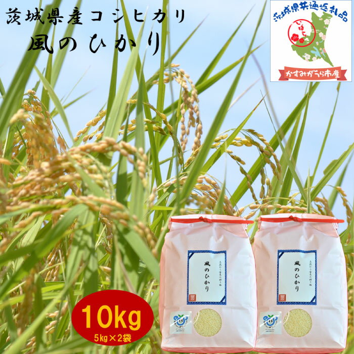 【ふるさと納税】 令和7年度産 コシヒカリ 風のひかり 10kg 農家直送 出荷日精米 茨城県産 5kg×2袋 茨城県共通返礼品 かすみがうら市産 米 お米 白米 こめ 精米 取り寄せ 特産 ごはん ご飯 コメ お取り寄せ ギフト 贈り物 お弁当 弁当 おにぎり ふっくら 甘い 産地直送 国産
