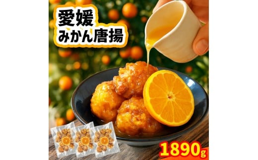愛媛みかん唐揚  45個  【10月中旬頃～2月下旬頃順次発送】 唐揚げ から揚げ カラアゲ 冷凍食品 小分け 便利 惣菜 おかず 簡単調理 弁当 みかん漬けタレ 国産鶏 人気 おすすめ 送料無料 愛媛県 松山市