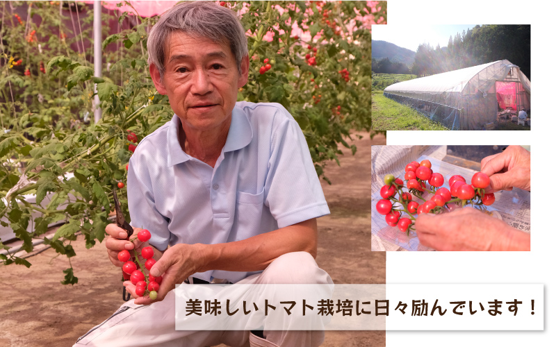 先行予約 数量限定!!うす皮 薄皮 フルーツミニトマト「華の妖精」1kg