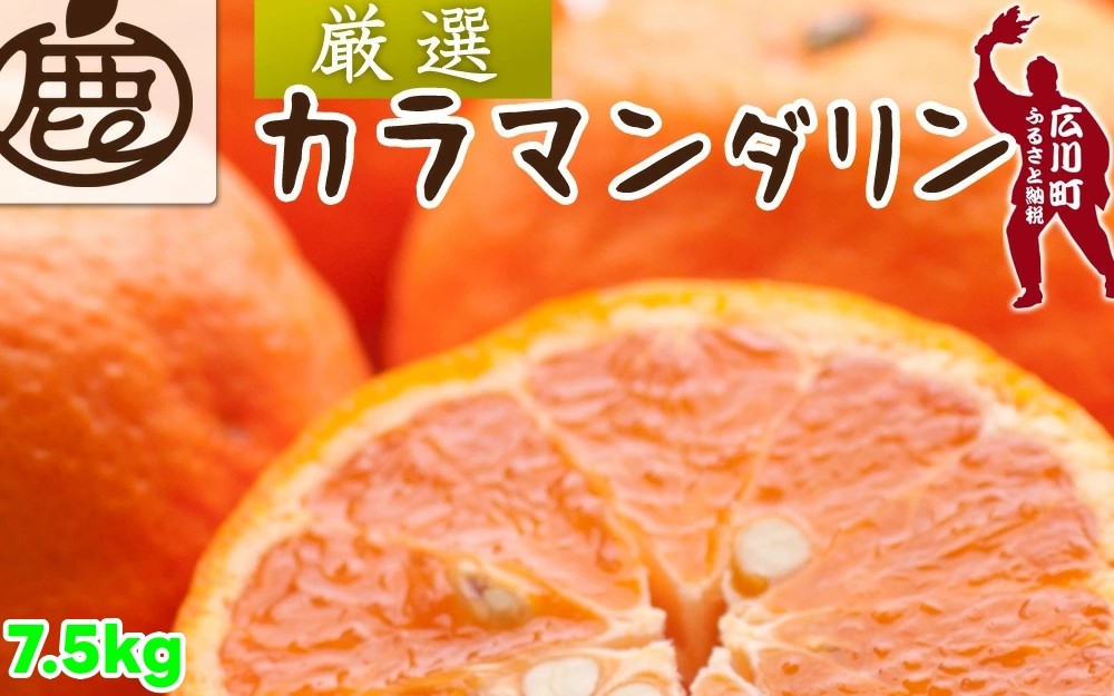 
            カラマンダリン 7.5kg+250g（痛み補償分） 厳選 / カラ カラオレンジ カラみかん 南津海 なつみ 高級 和歌山 有田 柑橘 晩柑 ※4月上旬～5月順次発送 ※北海道・沖縄・離島への配送不可 【ikd015-p-7d5】
          