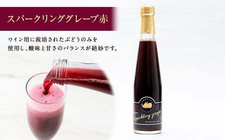 北海道サイダー 3本 セット 3種 300ml×各1本 | 飲料 ドリンク スパークリング トマト グレープ 炭酸 北海道産