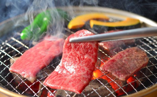 神戸牛 焼肉 500g TKY2  [1208]