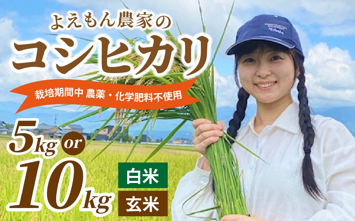 
                  【先行予約】【令和8年産 新米】【選べる精米方法・容量】よえもん農家のコシヒカリ 栽培期間中農薬・化学肥料不使用 | 精米 白米 玄米 5kg 10kg
                