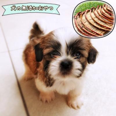 ふるさと納税 吉野ヶ里町 犬のおやつ☆天然いのししの骨ガム☆超小型犬向け