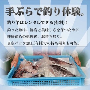 【C2-026】【釣り堀ハマカツ】1名釣り堀利用券(小学生以下1名)