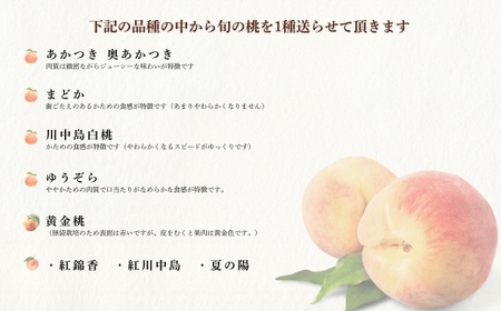 No.1762もも　8月収穫の桃　品種お任せ　約5kg【2025年発送】