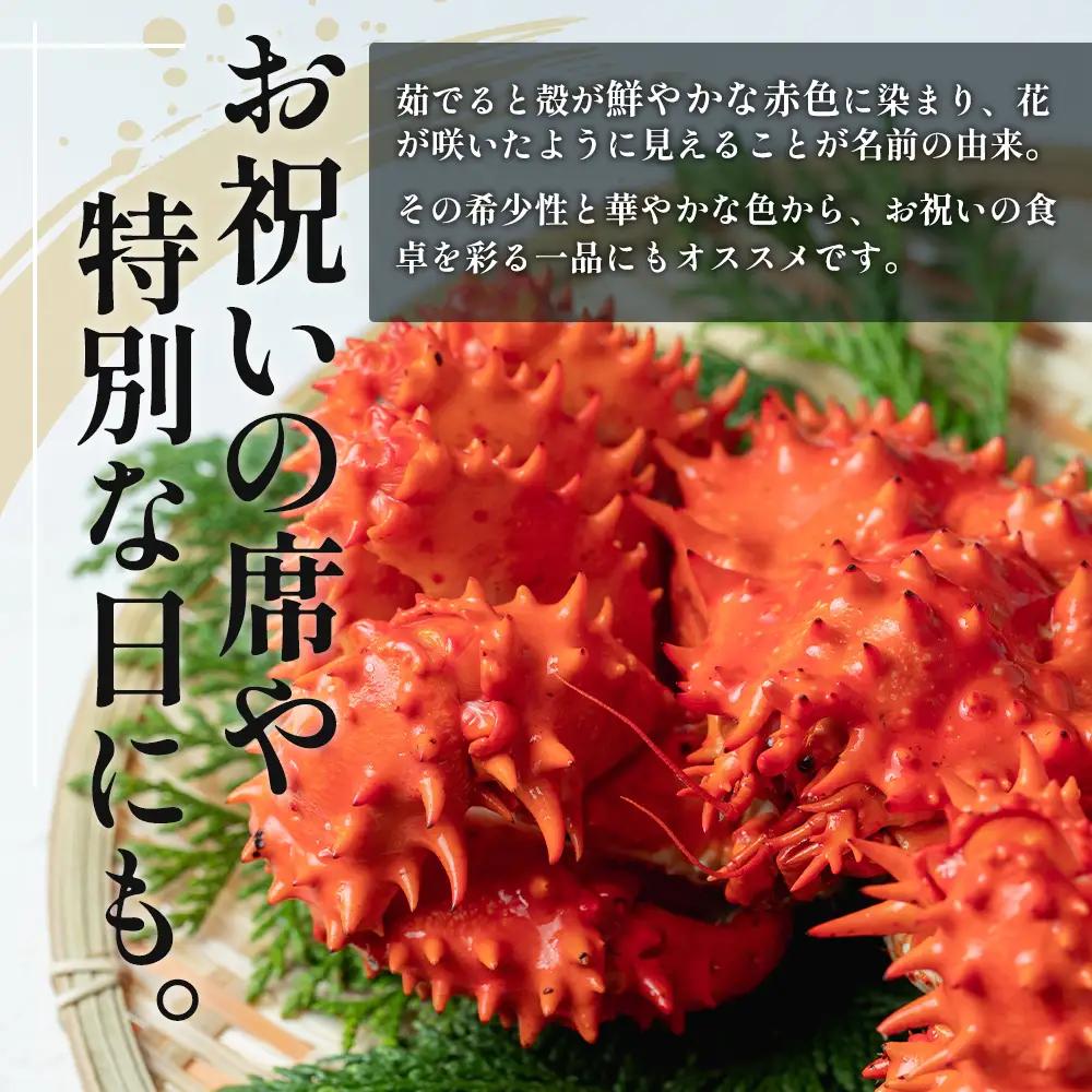 訳あり 厚岸産 冷凍ボイル 花咲がに 1.5kg前後 花咲ガニ