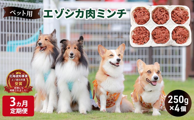 3ヵ月定期便 ペットのおやつ【エゾシカ肉のミンチ】250g×4 南富フーズ株式会社 鹿肉 ジビエ 餌 犬 猫 鹿 ペット 健康 無添加 肉 北海道 南富良野町 エゾシカ