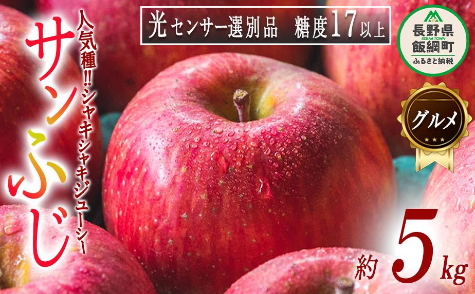 りんご サンふじ グルメ ( 贈答用 ) 5kg 最高級 糖度17度以上 光センサー選別品 ながの農業協同組合 2025年12月上旬頃から2025年12月下旬頃まで順次発送予定 令和7年度収穫分 果物 特選 特秀 数量限定 25000円 予約 長野県 飯綱町 [0337]