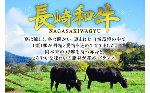 牛肉 和牛 長崎和牛 焼肉 赤身 500g 焼き肉 やきにく [彼杵の荘 長崎県 東彼杵町 hs42bag270047] 赤身 赤身肉 赤み あかみ 肉 お肉 牛肉 国産 和牛 黒毛和牛 冷凍 BBQ