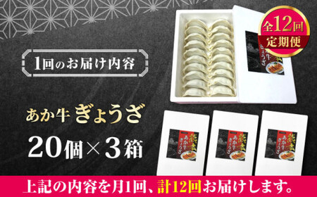 【全12回定期便】熊本県産 あか牛 ぎょうざ 20個×3箱 ぎょうざ[AYCQ091]
