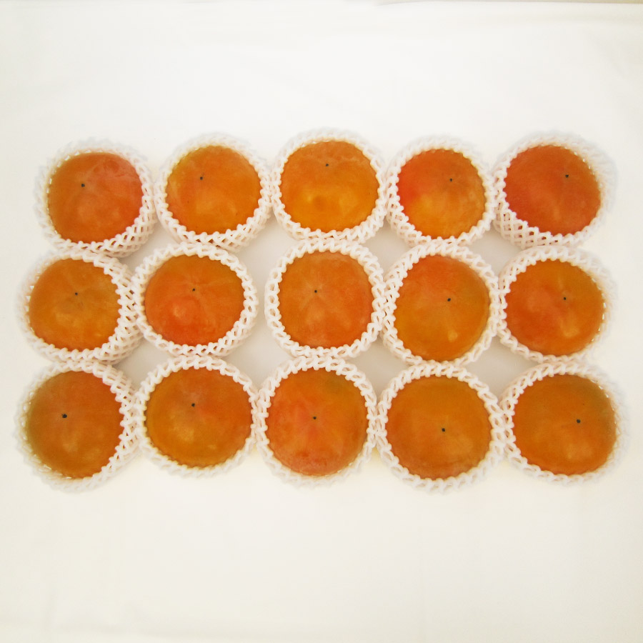 富有柿2L　15個入