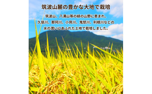 令和4年産茨城県産コシヒカリ・ミルキークイーン　精米　お米詰合せ　合計10kg (5kg×2袋) ※離島への配送不可