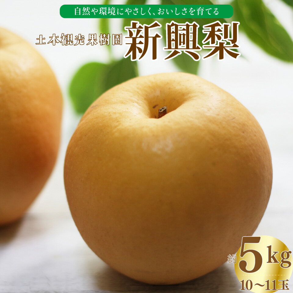 【ふるさと納税】＜新興梨 【期間・数量限定】＞梨 5kg 10～11玉 高知県 佐川町 黒岩 土本観光果樹園 フルーツ【常温】