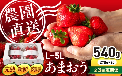 【月1回・全3回定期便】糸島 あまおう 270g×2パック【2027年1月～順次発送】 (A品B品含むL～5L) 糸島市 / 磯本農園 / TANNAL [ATB009] いちご 苺 イチゴ ランキング 上位 人気 おすすめ あまおう定期便