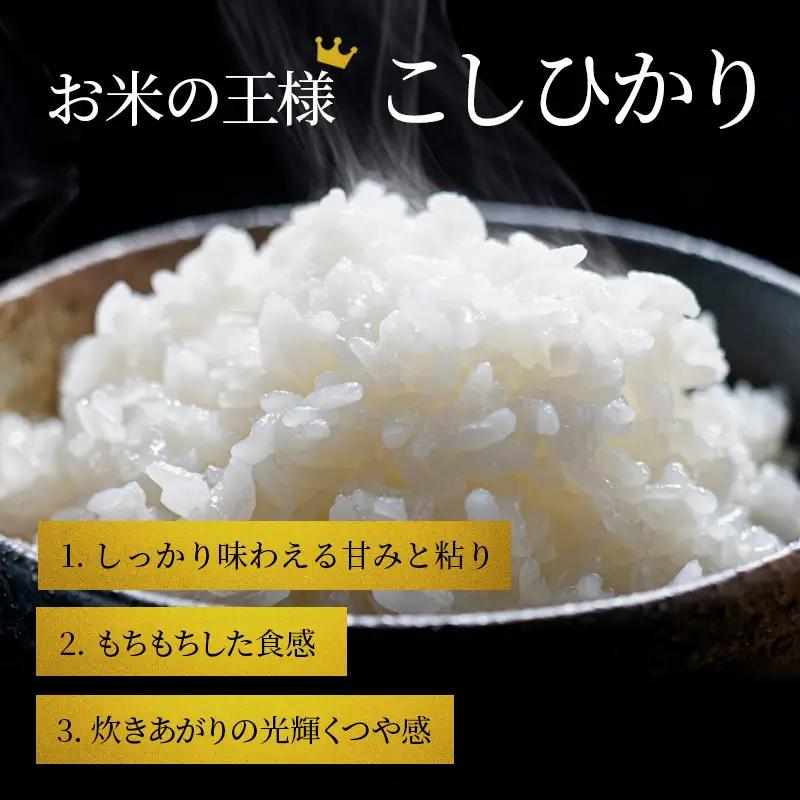【令和8年産】 先行予約 新米 BG無洗米 コシヒカリ 5kg 6回定期便 令和8年産 定期便 米 無洗 無洗米こめ コメ お米 ご飯 米 こしひかり 米定期便 6か月定期便 6ヶ月定期便 6回 6ヶ