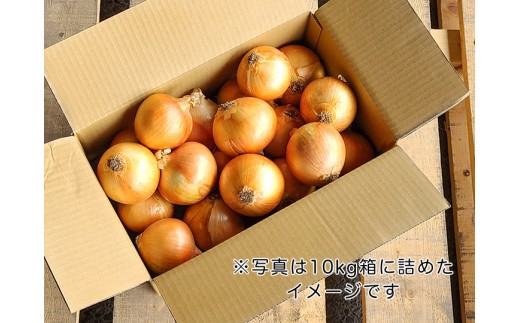 【１０kg】兵庫県認証食品★特別栽培★淡路島たまねぎ